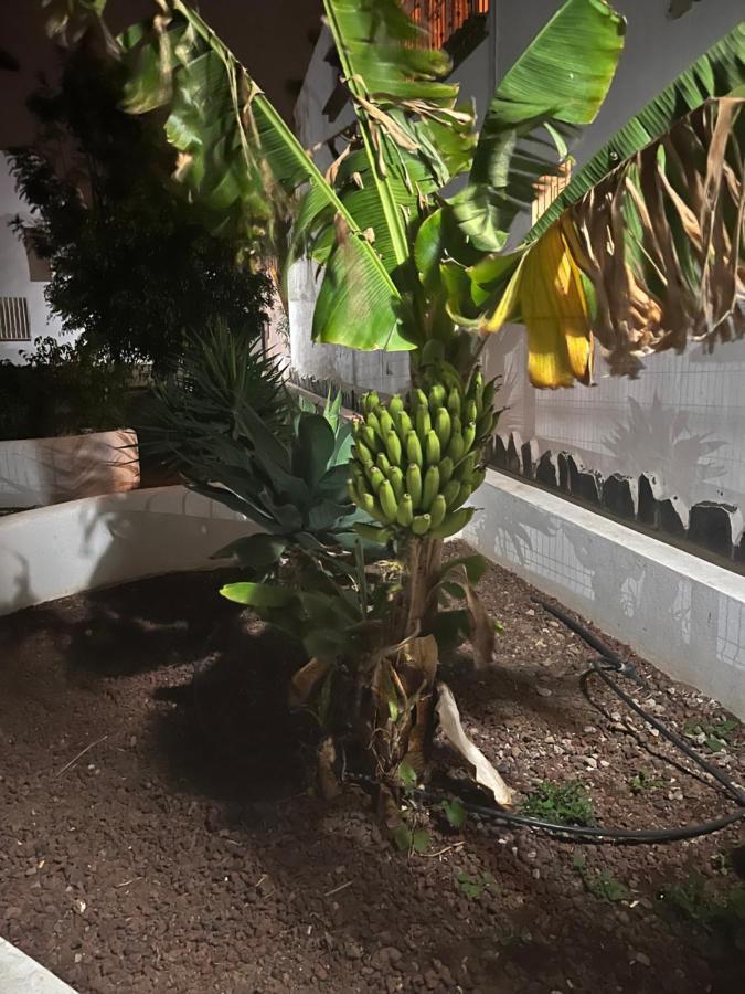 Estudio Costa Del Silencio Chayofita Arona  Exteriér fotografie